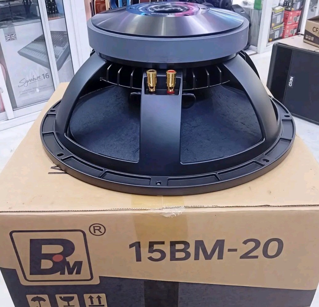 BM Audio 15BM-20 15-inch 800W Professional Mid-Bass Woofer